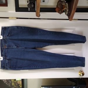 Women's Lane Bryant Jeans 22 Skinny